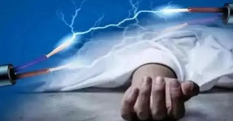ধানক্ষেতে ছিঁড়ে পড়া বিদ্যুতের তারে জড়িয়ে দুই কৃষকের মৃত্যু
