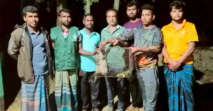 গারো পাহাড়ে অবমুক্ত হলো লজ্জাবতী বানর