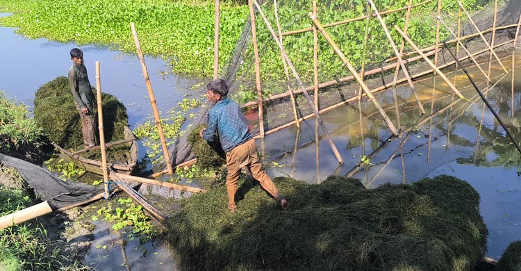 জঞ্জালই এখন আয়ের উৎস