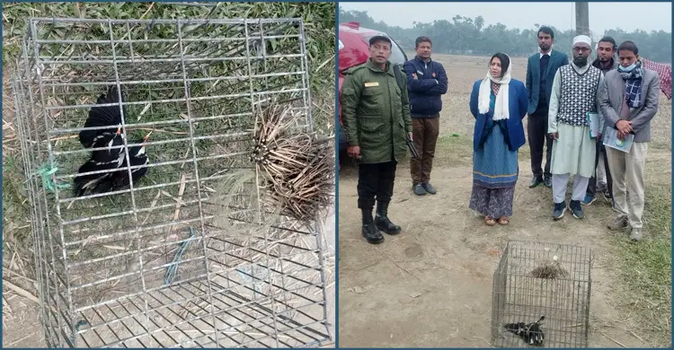 শেরপুরে পাখি শিকার করে জরিমানা গুনলেন যুবক