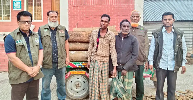 গারো পাহাড়ের বনাঞ্চলে গাছ কাটার মহোৎসব