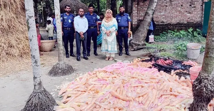 রাসায়নিক রং ব্যবহার করে আইসক্রিম তৈরি, জরিমানা-পণ্য ধ্বংস