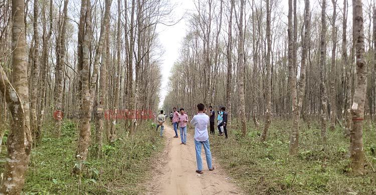 সংরক্ষিত আগর বাগানে অনিয়ন্ত্রিত পর্যটক