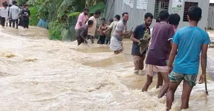 উজানের ঢল-টানা বৃষ্টিতে বন্যার শঙ্কায় শেরপুর