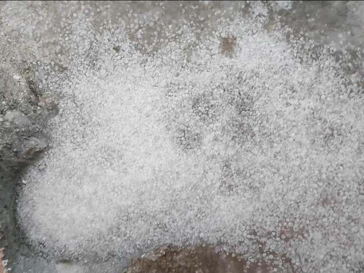 রামপালে ঝড় শিলাবৃষ্টিতে ফসলের ব্যাপক ক্ষতি