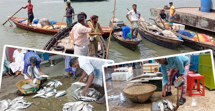 দুই মাস পর নদীতে জেলেরা, মিলছে না কাঙ্ক্ষিত ইলিশ
