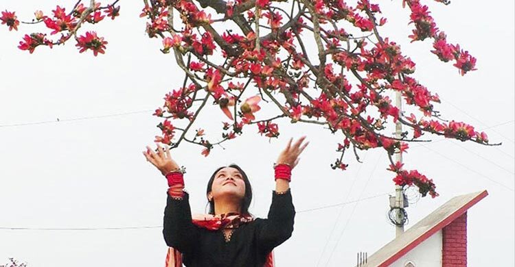 লাল শিমুলে চোখ জুড়াচ্ছে প্রকৃতিপ্রেমীদের