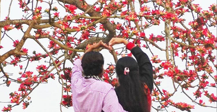 প্রকৃতি আজ দক্ষিণা দুয়ার খুলে দিয়েছে, আর সে দুয়ারে বইছে ফাগুনের হাওয়া। বসন্তের আগমনে কোকিল গাইছে গান