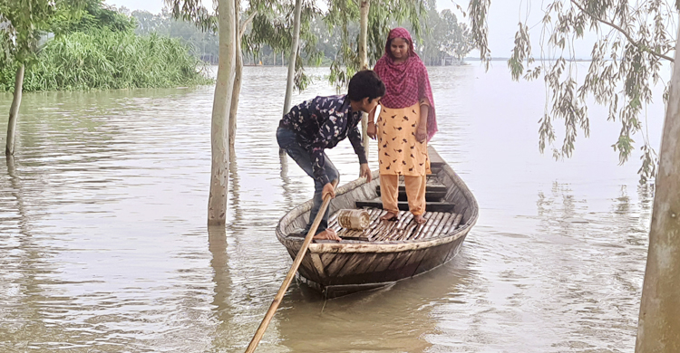 যমুনার পানিতে ডুবলো ২০৩ হেক্টর ফসলি জমি