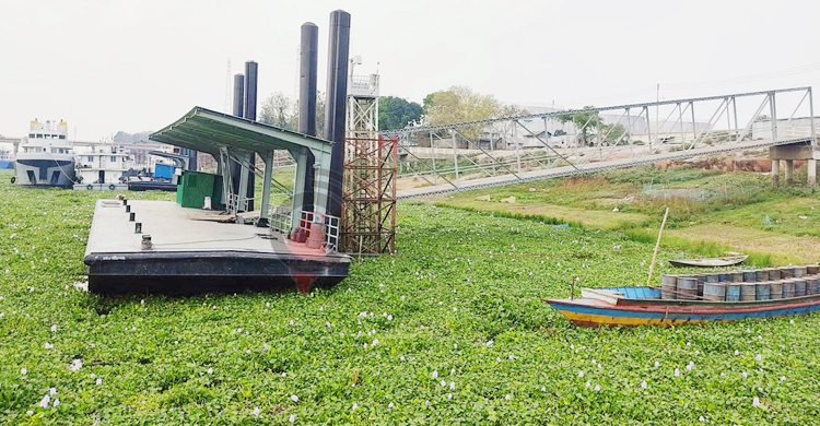 ৩ মাস ধরে ভিড়ছে না জাহাজ, জমেছে কচুরিপানা