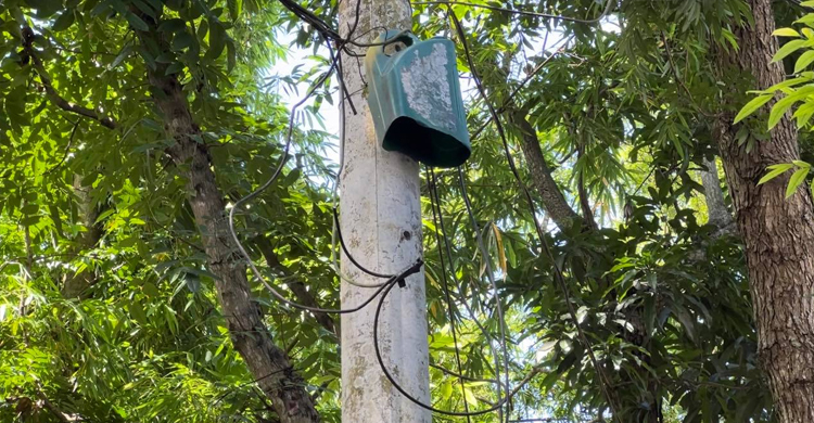 ডিসলাইনের তার চুরি হওয়ায় ১০ গ্রামে সংযোগ বিচ্ছিন্ন