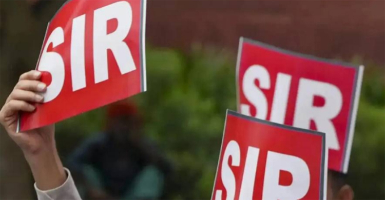 এসআইআর ফর্ম নিয়ে মুখ্যমন্ত্রীর বাড়িতে বিএলও