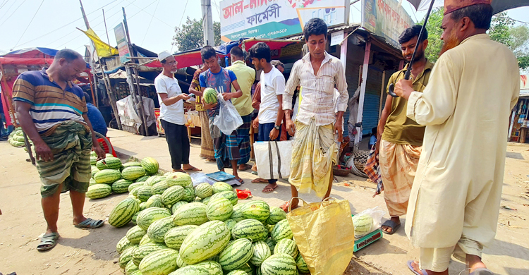 সকালে তরমুজের কেজি ৫০ টাকা, বিকেলে ৬০