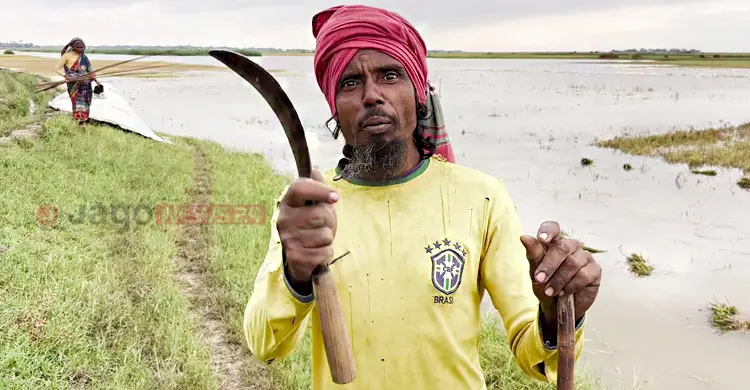 ‘আমি এহন খেলা দেহুম কী দিয়া, বিশ্বকাপে ব্রাজিলের সাপোর্টার আমি’