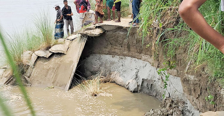 যমুনায় পানি বাড়তেই ভাঙতে শুরু করেছে চরাঞ্চল