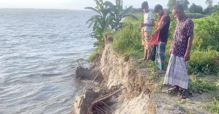 যমুনায় বাড়ছে পানি, ভাঙছে বসতভিটা- ফসলি জমি