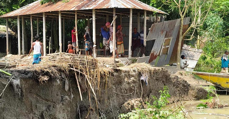 যমুনায় তিনদিনে বিলীন ৩০ বসতভিটা