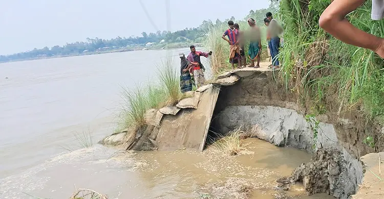 যমুনায় পানি বাড়তেই ভাঙতে শুরু করেছে চরাঞ্চল
