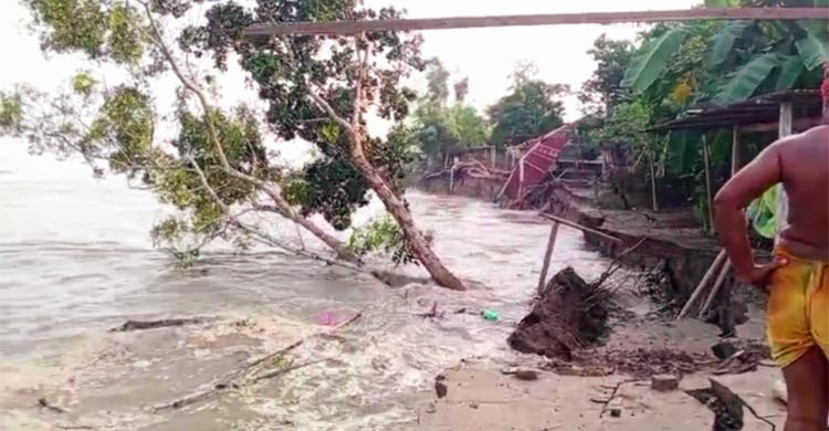 যমুনায় তিনদিনে বিলীন ৩০ বসতভিটা