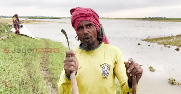 &lsquo;আমি এহন খেলা দেহুম কী দিয়া, বিশ্বকাপে ব্রাজিলের সাপোর্টার আমি&rsquo;