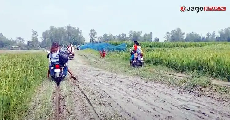 ঝোপঝাড়ে, নৌকায়—পথেই হয়ে যায় প্রসব