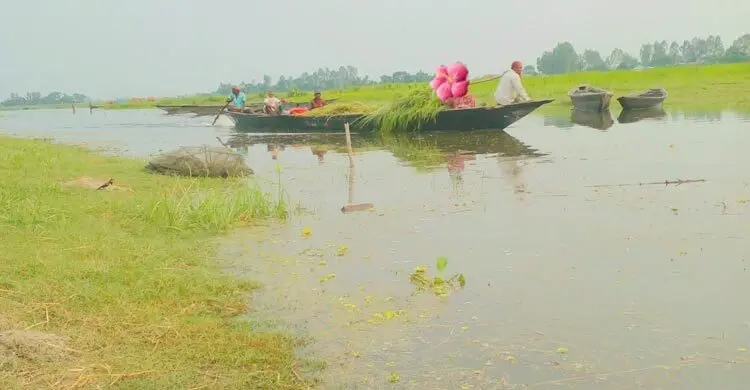 যমুনায় পানি কমলেও কমেনি দুর্ভোগ