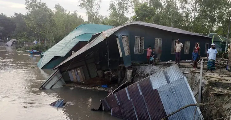 যমুনার ভাঙনে বিলীন স্কুলসহ ২০ বসতবাড়ি