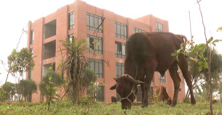 ৫৬ কোটির ট্রাক চালকদের আধুনিক বিশ্রামাগার এখন ‘গরুর খোঁয়াড়’