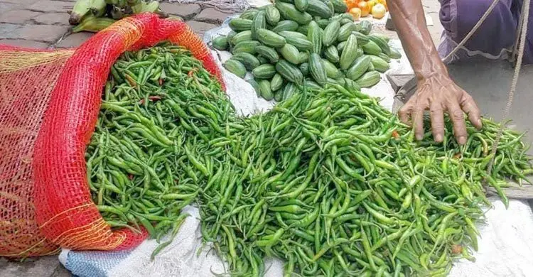 লাগামহীন কাঁচামরিচের দাম