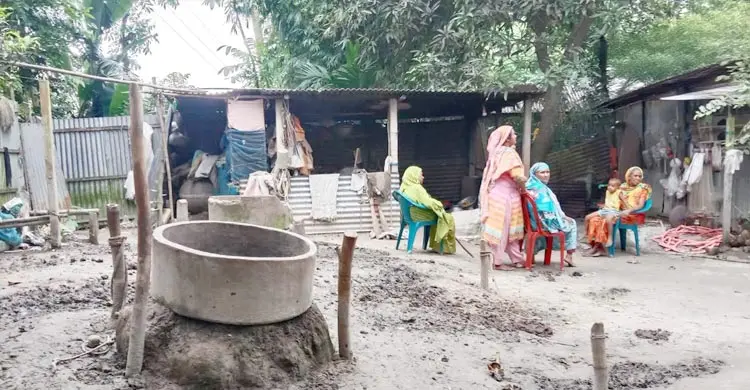 এক রাতে ৪ গরু চুরি, নিঃস্ব কৃষক পরিবার