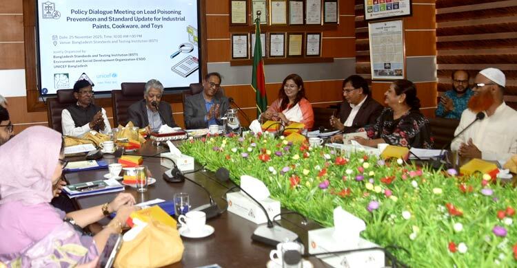 শিশুদের খেলনা ও রঙে সিসা নিয়ন্ত্রণে কড়া পদক্ষেপের সুপারিশ