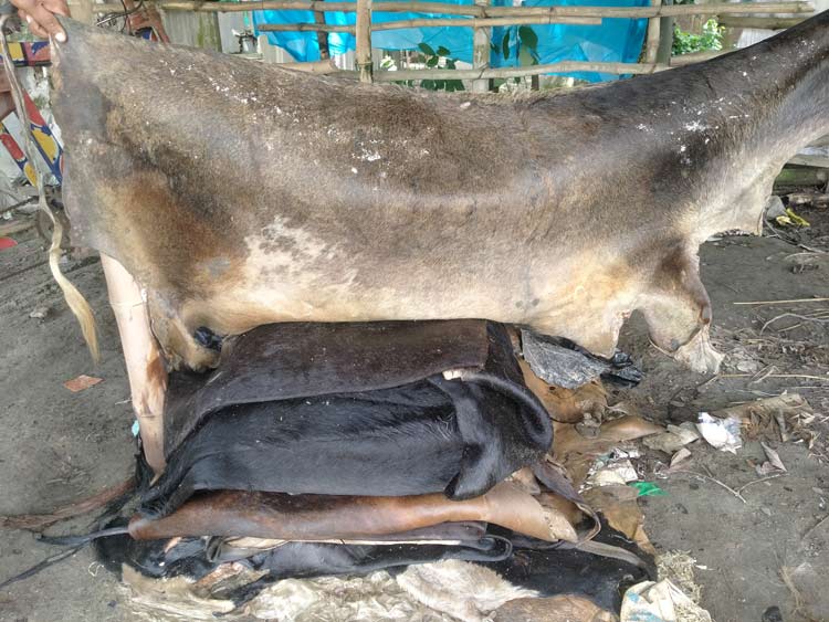 ব্যাংক ঋণে বাধা, ট্যানারি মালিকদের সিন্ডিকেটে তছনছ চামড়ার বাজার