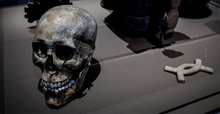 ফ্রান্স থেকে মাদাগাসকারে ফিরলো ঔপনিবেশিক যুগের ৩ মাথার খুলি