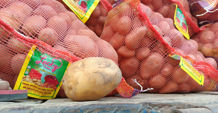 ভারত থেকে ৫০ হাজার টন আলু আমদানির অনুমতি