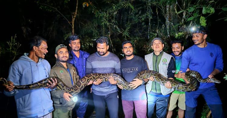 বাড়ি থেকে উদ্ধার হলো ৪০ কেজির বিশাল অজগর