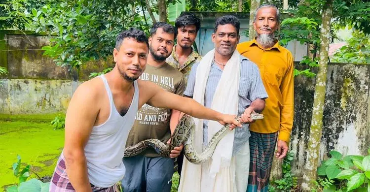 বাড়ি থেকে খোয়া যাচ্ছিল হাঁস-মুরগি, ধরা পড়লো অজগর
