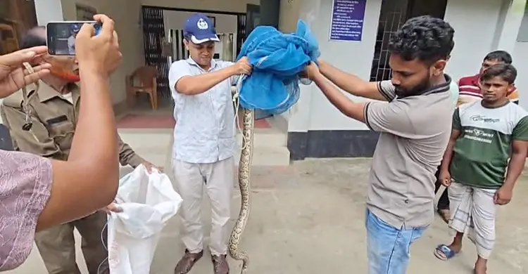 জেলের জালে ধরা পড়লো ৬ ফুটের অজগর