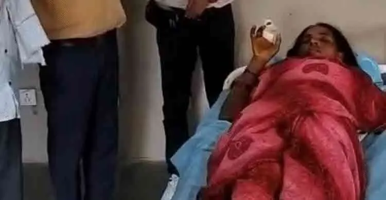 ২ মিনিটে ৫ বার সাপের ছোবল, অলৌকিকভাবে বাঁচলেন নারী