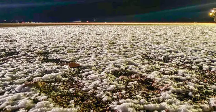 সৌদির উত্তরাঞ্চলজুড়ে তুষারপাতের আশঙ্কা