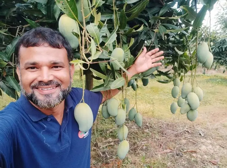 অনলাইনে বাড়ছে ফল বিক্রির জনপ্রিয়তা, বাড়ছে কর্মসংস্থান