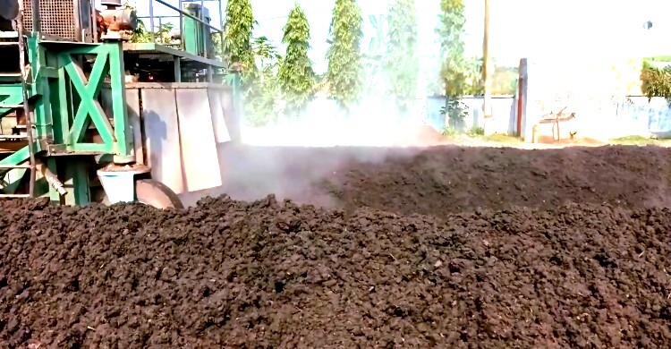 চুয়াডাঙ্গায় জনপ্রিয়তা পেয়েছে ‘সোনার দানা’ জৈব সার