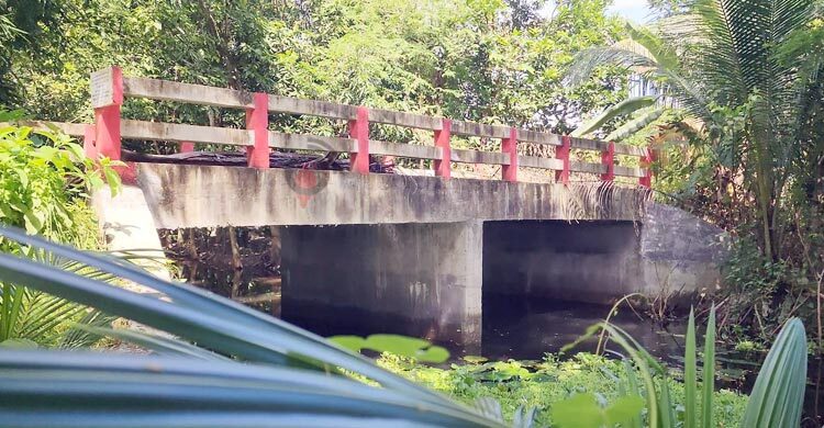 সাবেক সচিবের গাড়িচালকের পুকুরে যেতে ৩১ লাখ টাকার সরকারি সেতু