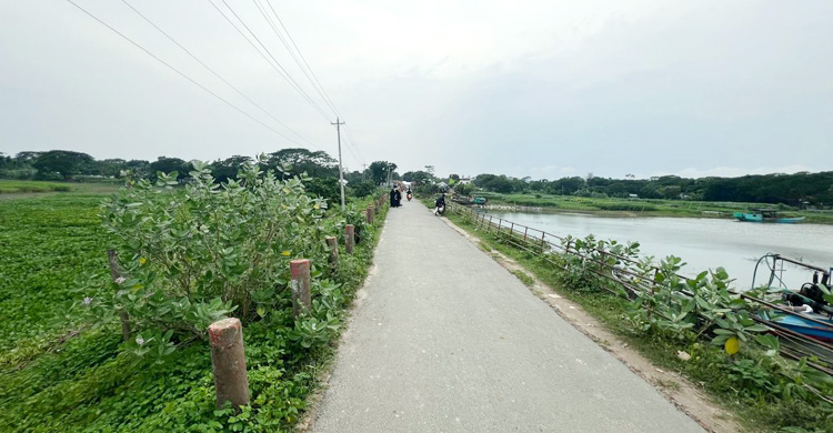 অপরিকল্পিত বেড়িবাঁধে মরছে ছোট পদ্মা