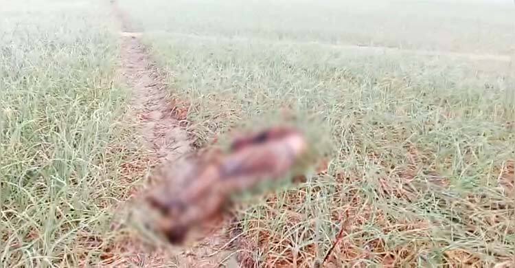 শরীয়তপুরে ককটেল বিস্ফোরণে যুবক নিহত