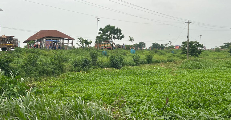 অপরিকল্পিত বেড়িবাঁধে মরছে ছোট পদ্মা