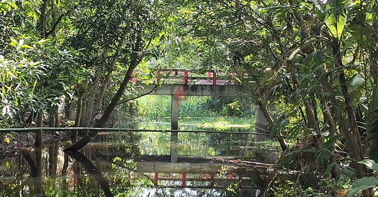 সাবেক সচিবের গাড়িচালকের পুকুরে যেতে ৩১ লাখ টাকার সরকারি সেতু