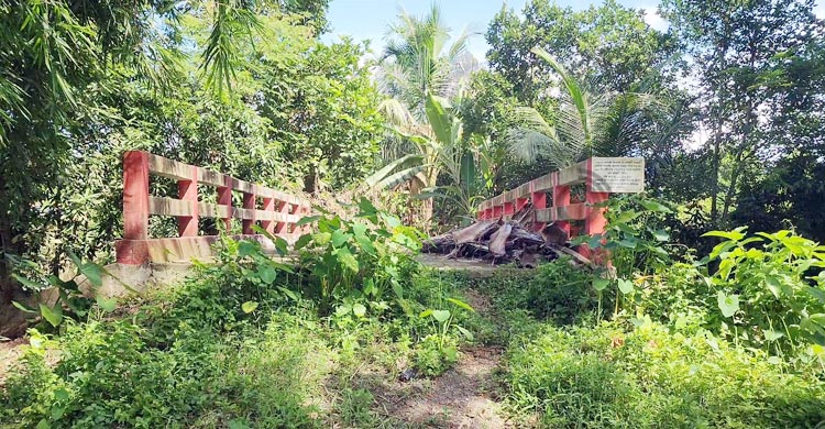 সাবেক সচিবের গাড়িচালকের পুকুরে যেতে ৩১ লাখ টাকার সরকারি সেতু