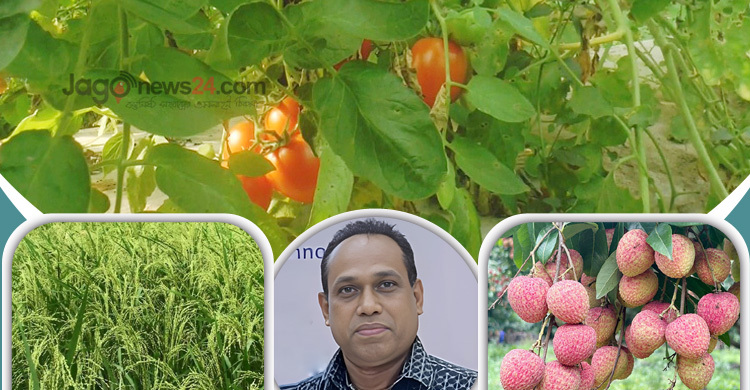 শস্যের নামকরণে বিদেশি শব্দের আধিক্য কেন?