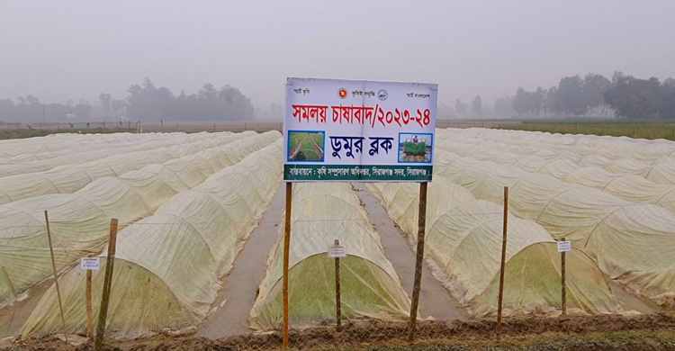 সমলয় পদ্ধতিতে বোরো আবাদে নতুন সম্ভাবনা