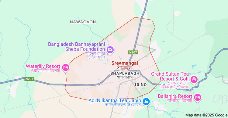 4 die after entering septic tank at Sreemangal tea garden